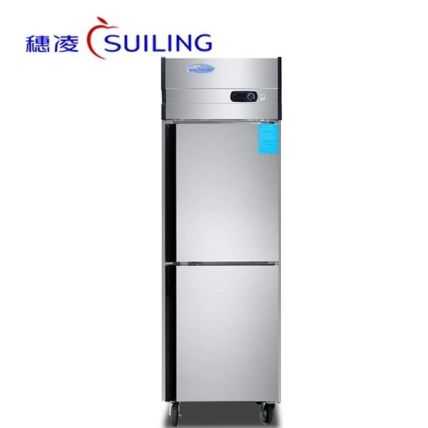 兩門單溫高身雪柜（可改為無箱風(fēng)冷）